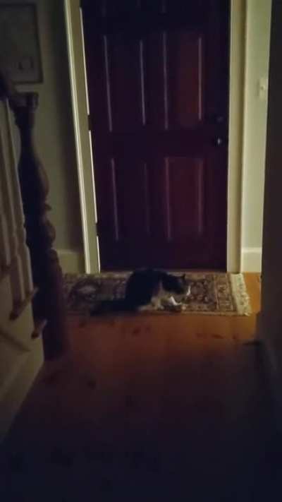 Busted!