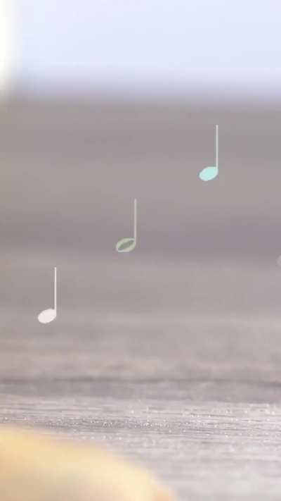 rainfrog