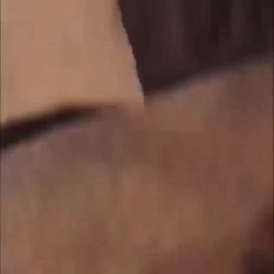 Girl fights boy after finding out he cheated on her