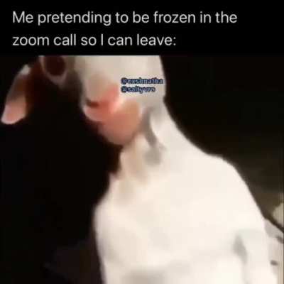 Source: r/dankvideos OR r/memevideos