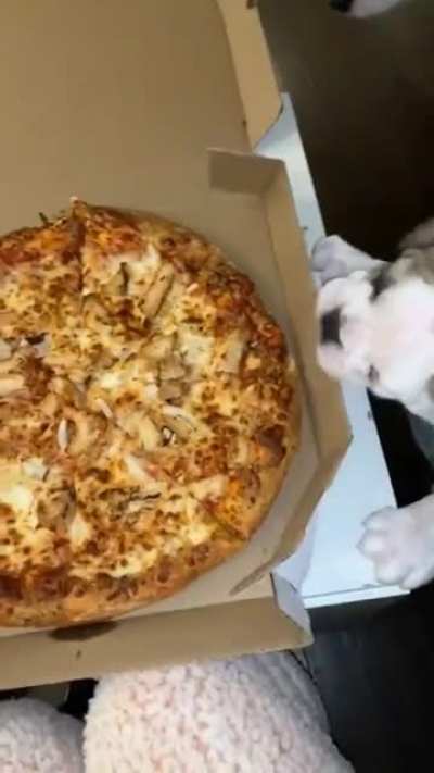 Pizza time.