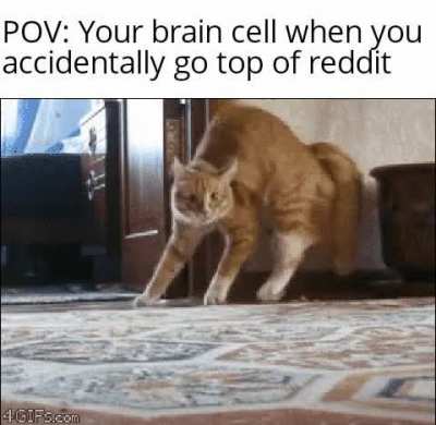 What have I done