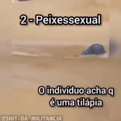 Top 5 😎👌