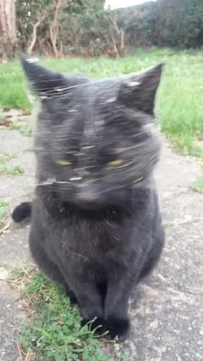 Excuse me sir, there's something on your face.