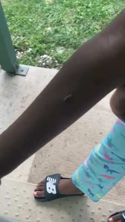 My sister found a firefly and it scared her