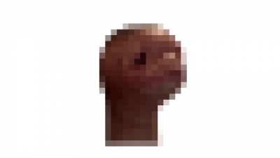 64 bit 32 bit 16 bit 8 bit 4 bit 2 bit 1 bit Meat