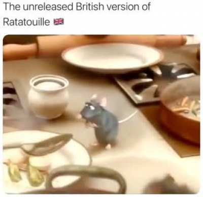 You fucking DONKEY