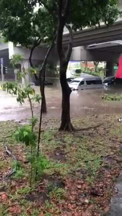 A scene of the flood at Tampines-Pasir Ris junction