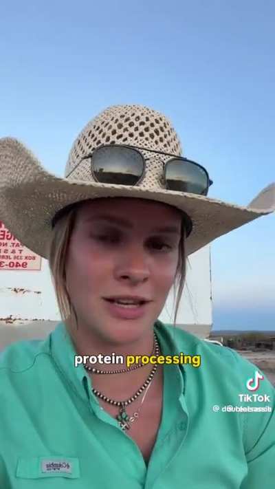 Poor cattle farmers can’t find anywhere to process their beef.