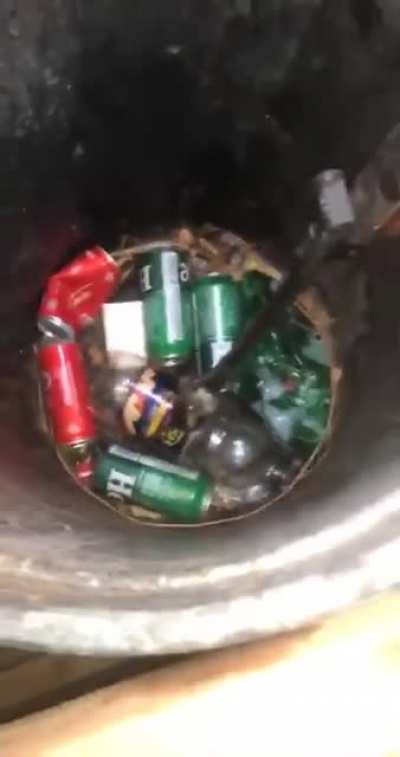 This 200 iq rat in our outside bin caused a nice fright