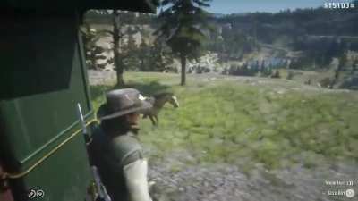 perfectly cut neigh