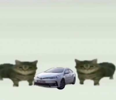 Toyota rule