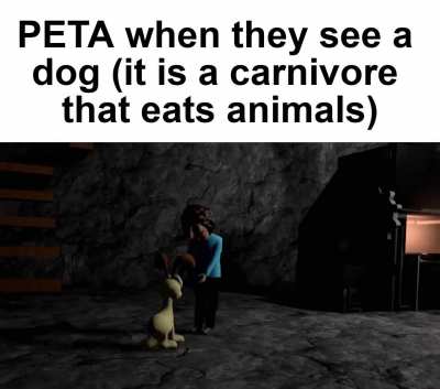 world of dogs