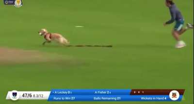 Better fielder than...?