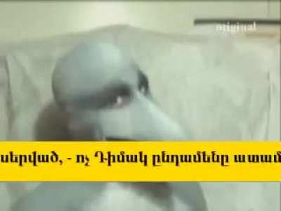 cursed_dolphin_man
