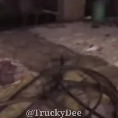 Bruh