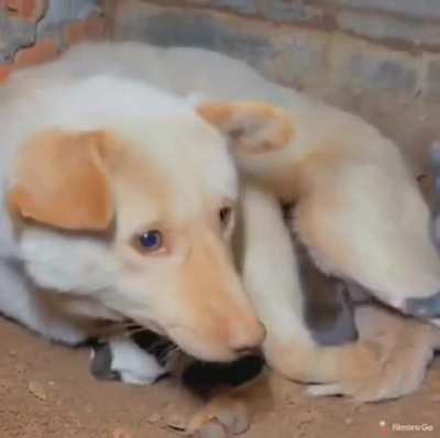 Everyone can use a bit of help sometimes.