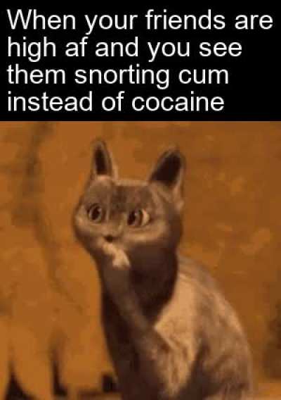 Little bit gay