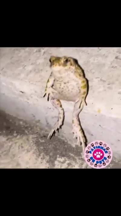Post nut clarity