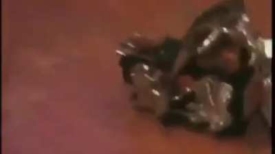 Crazy Frog IRL