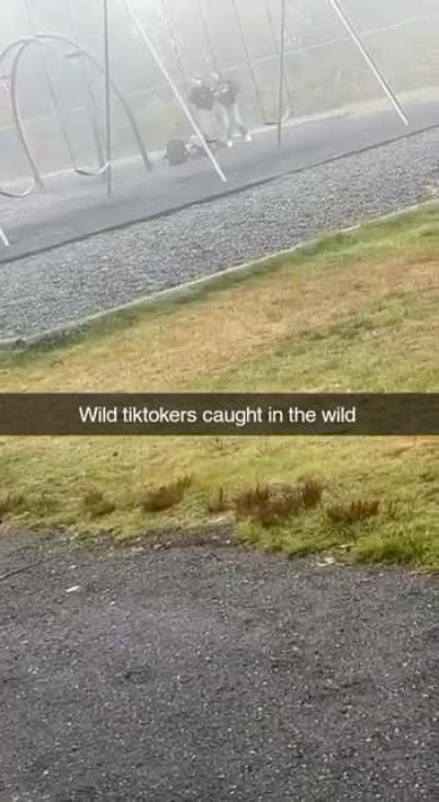 wild tiktokers