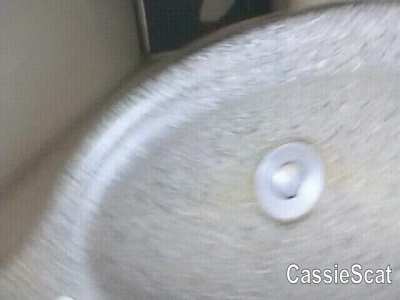 [Seller] Taking a Shit in an Airplane Toilet [GIF]
