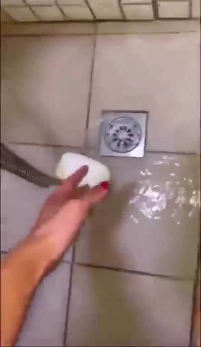 VV todo!!