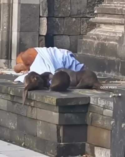let me sleep in peace