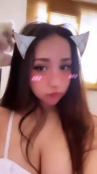 🐰