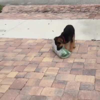 Don't worry human, I got it.