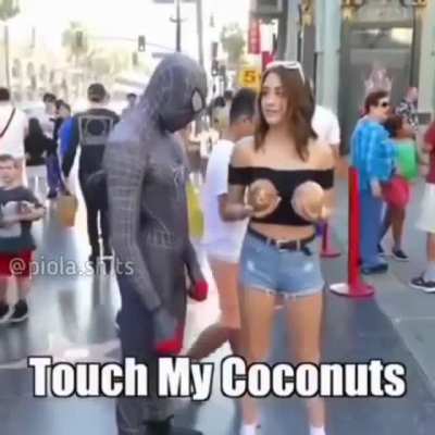 Spiderman caught. Credits to @piola.shits in Instagram.