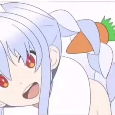 Bonk