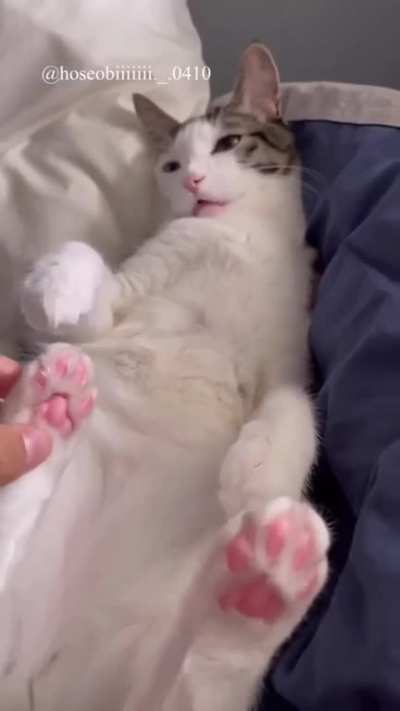 Gatu 👍🏼🗿