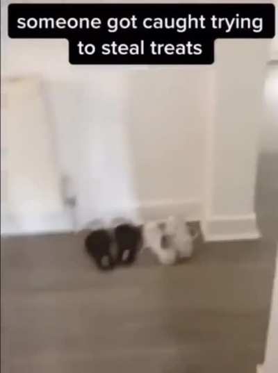 He got caught