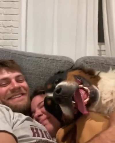 Here's something to brighten up your day