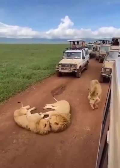 Just chill