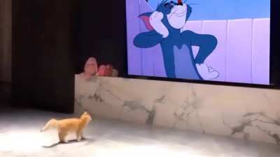 presence effect