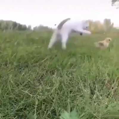 Штрашный жверь