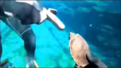 Underwater scream