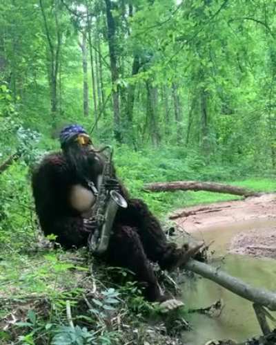 Not sure how many have seen this, but here's saxsquatch.