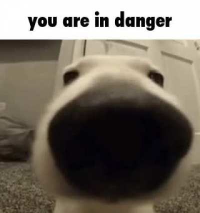 I have a gun to my head