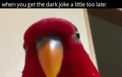 Haha- OH NO