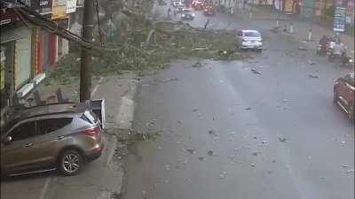 Sudden tree