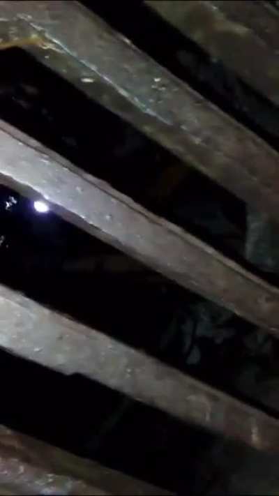 Taking a stroll in a sewer