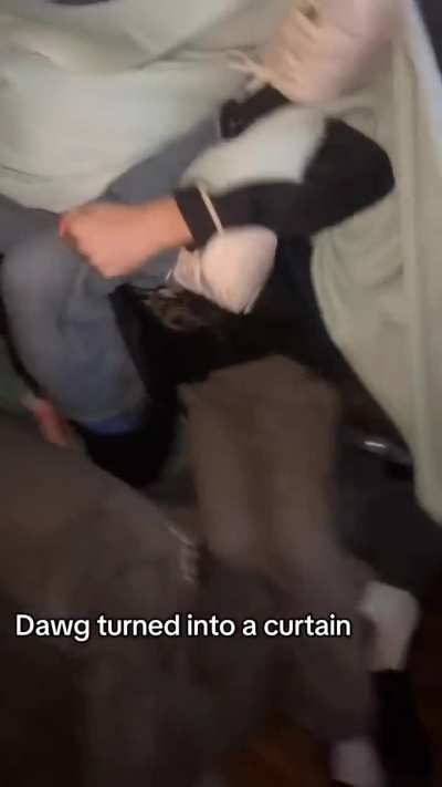 couch armbar
