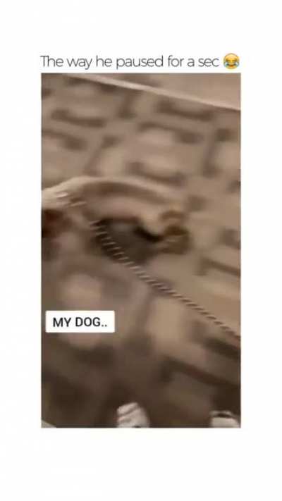 We can walk together