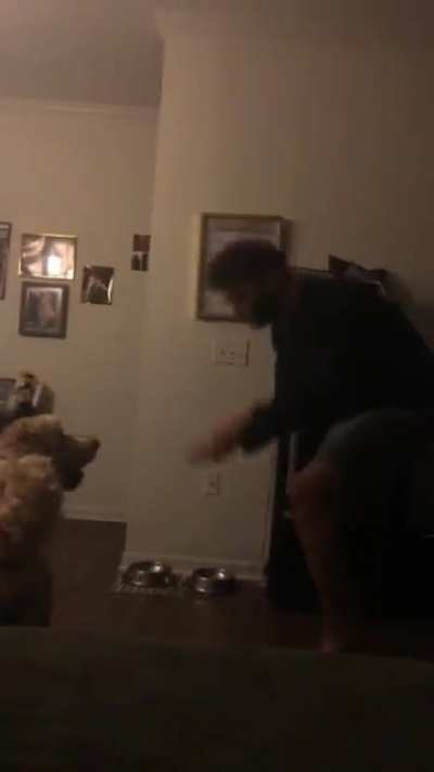 My dog has it out for my nads