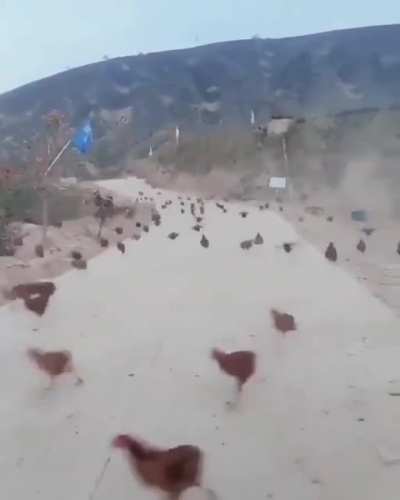 Cafeler açılıyorrrr