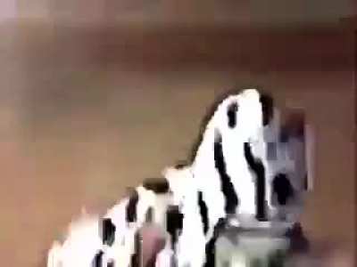 Hackers when they die in sbr