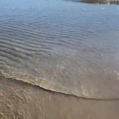 Water rippling over sand